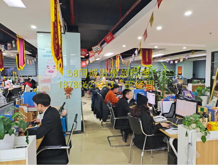 ��˾����